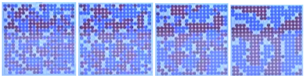 共生と秩序】合理的意思決定とは？ | UTokyo OCW (OpenCourseWare)